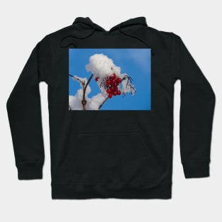 Winter Berries in Snow Hoodie